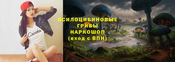 крисы Алексин