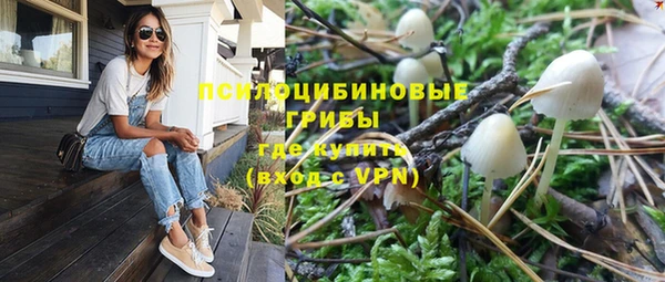 крисы Алексин