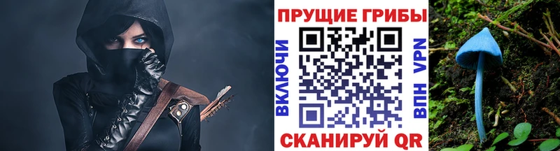 сколько стоит  Яровое  мориарти Telegram  Галлюциногенные грибы мицелий 